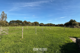 Propriété en pierre avec 1,2ha de terres